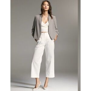 Aritzia Babaton Power Waist Blazer
